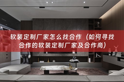 定制厂家及合作商）