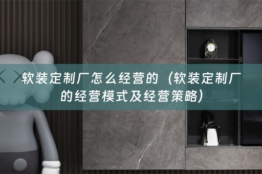 定制厂的经营模式及经营策略）
