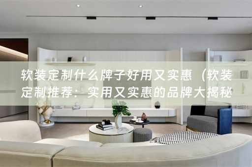 定制推荐：实用又实惠的品牌大揭秘！）
