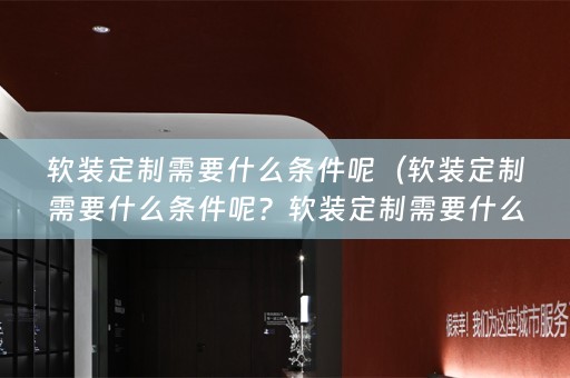 定制需要什么条件呢视频）