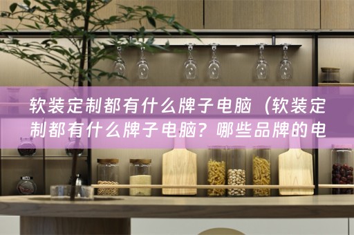 定制领域表现出色？）
