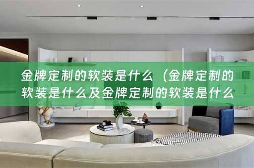金牌定制的是什么材质）