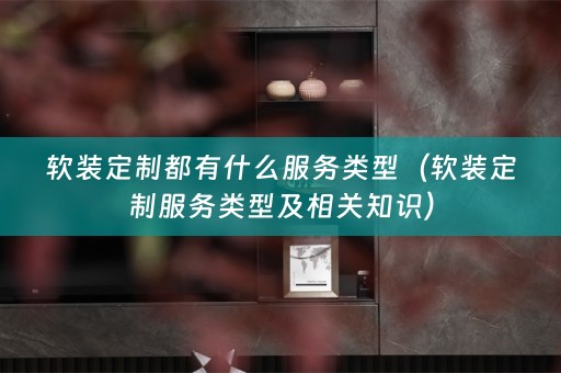 定制服务类型及相关知识）