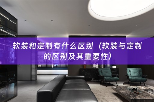 与定制的区别及其重要性）