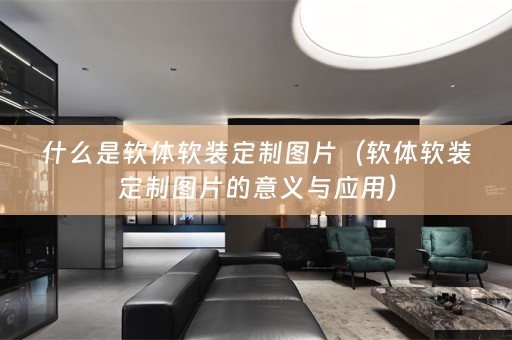 什么是软体定制图片的意义与应用）
