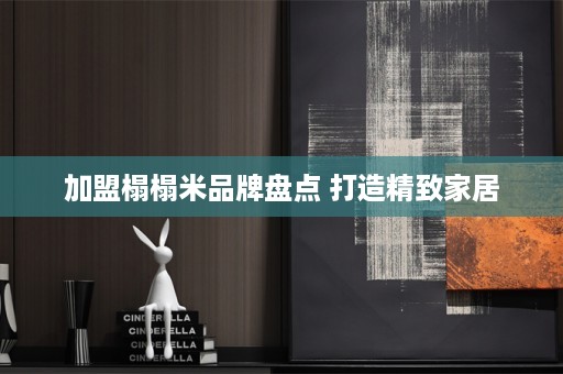 加盟榻榻米品牌盘点 打造精致家居