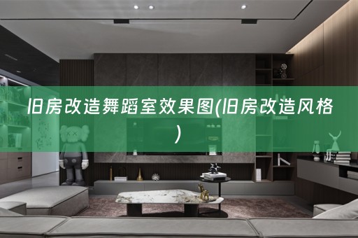 旧房改造舞蹈室效果图(旧房改造风格)