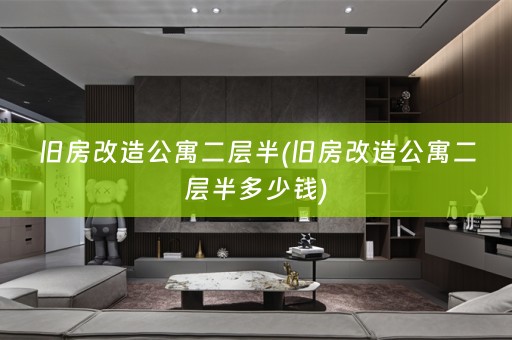 旧房改造公寓二层半(旧房改造公寓二层半多少钱)