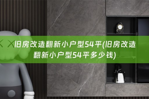 旧房改造翻新小户型54平(旧房改造翻新小户型54平多少钱)