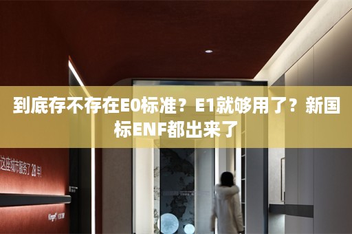 到底存不存在E0标准？E1就够用了？新国标ENF都出来了