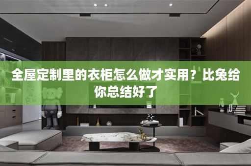 里的衣柜怎么做才实用？比兔给你总结好了