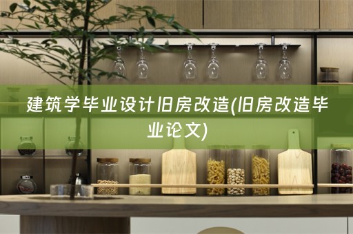 建筑学毕业设计旧房改造(旧房改造毕业论文)
