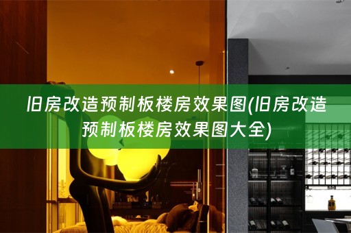 旧房改造预制板楼房效果图(旧房改造预制板楼房效果图大全)