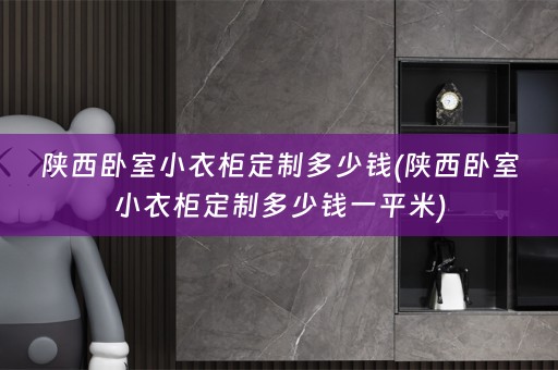 陕西卧室小衣柜定制多少钱(陕西卧室小衣柜定制多少钱一平米)