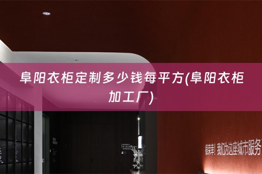 阜阳衣柜定制多少钱每平方(阜阳衣柜加工厂)