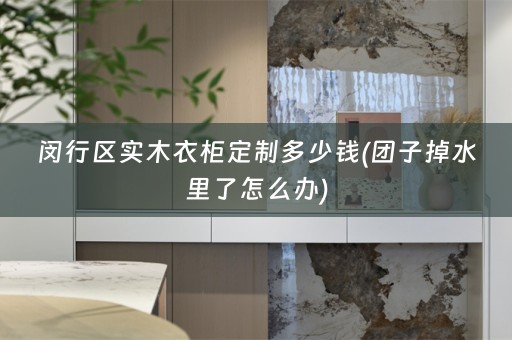 闵行区实木衣柜定制多少钱(团子掉水里了怎么办)