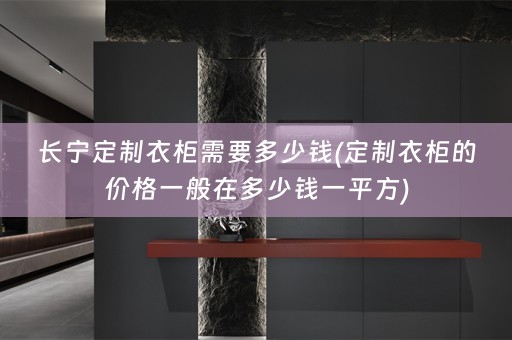 长宁定制衣柜需要多少钱(定制衣柜的价格一般在多少钱一平方)