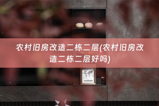 农村旧房改造二栋二层(农村旧房改造二栋二层好吗)