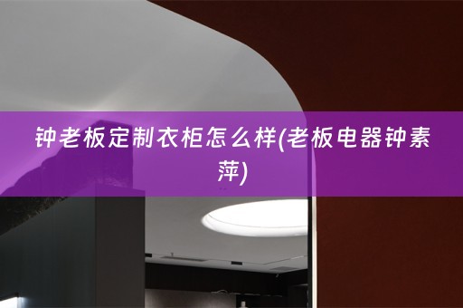 钟老板定制衣柜怎么样(老板电器钟素萍)