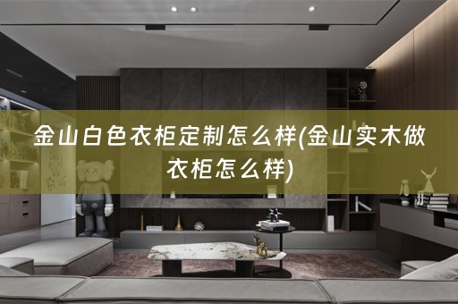 金山白色衣柜定制怎么样(金山实木做衣柜怎么样)