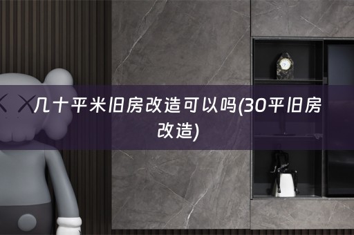 几十平米旧房改造可以吗(30平旧房改造)