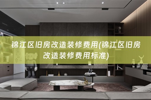 锦江区旧房改造装修费用(锦江区旧房改造装修费用标准)