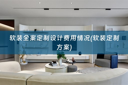 定制方案)