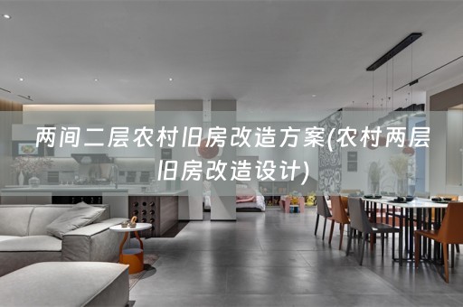 两间二层农村旧房改造方案(农村两层旧房改造设计)