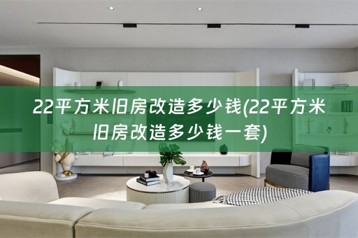 22平方米旧房改造多少钱(22平方米旧房改造多少钱一套)