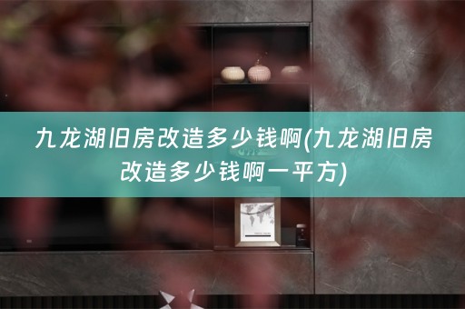九龙湖旧房改造多少钱啊(九龙湖旧房改造多少钱啊一平方)
