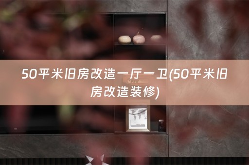 50平米旧房改造一厅一卫(50平米旧房改造装修)