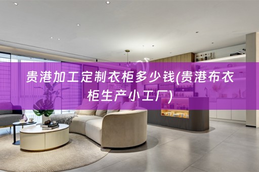 贵港加工定制衣柜多少钱(贵港布衣柜生产小工厂)