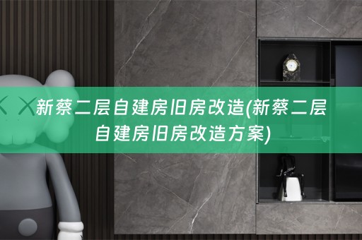 新蔡二层自建房旧房改造(新蔡二层自建房旧房改造方案)