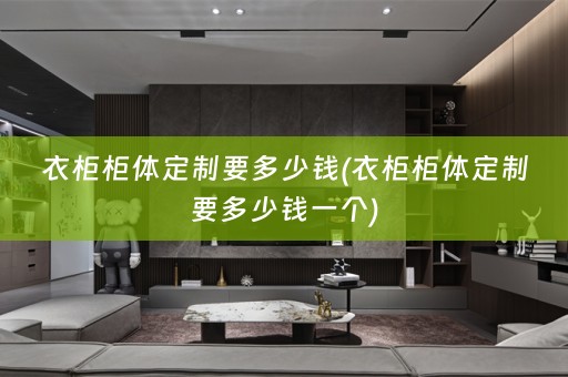 衣柜柜体定制要多少钱(衣柜柜体定制要多少钱一个)