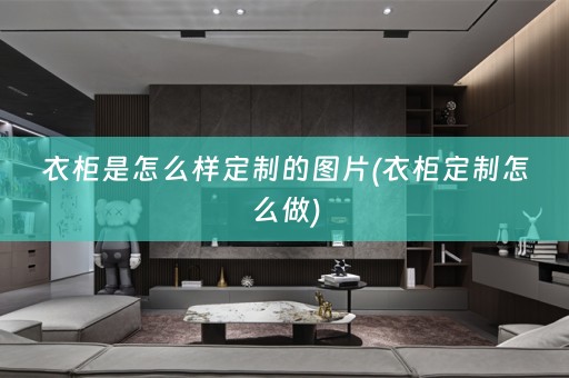 衣柜是怎么样定制的图片(衣柜定制怎么做)