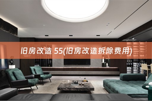 旧房改造 55(旧房改造拆除费用)