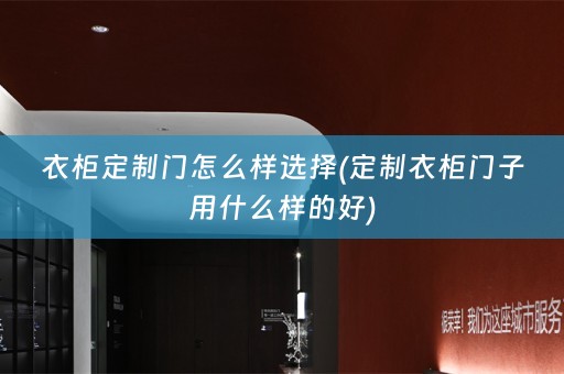 衣柜定制门怎么样选择(定制衣柜门子用什么样的好)