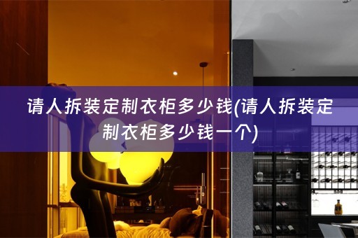 请人拆装定制衣柜多少钱(请人拆装定制衣柜多少钱一个)