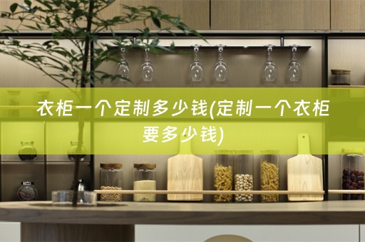 衣柜一个定制多少钱(定制一个衣柜要多少钱)