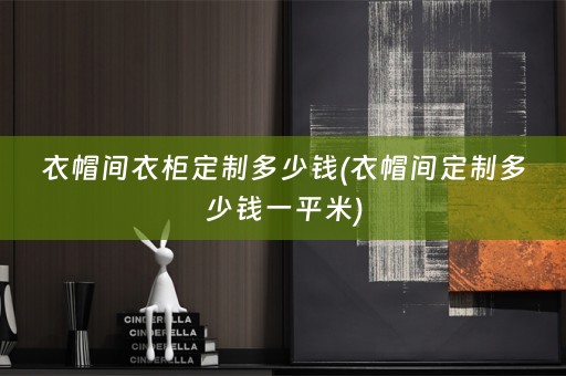 衣帽间衣柜定制多少钱(衣帽间定制多少钱一平米)