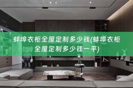 蚌埠衣柜多少钱一平)