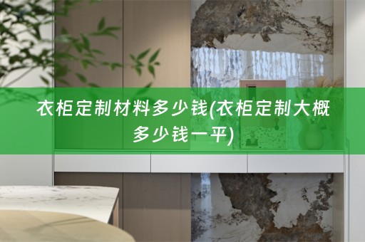 衣柜定制材料多少钱(衣柜定制大概多少钱一平)