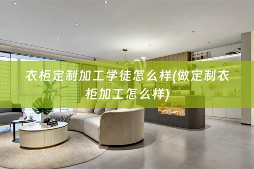 衣柜定制加工学徒怎么样(做定制衣柜加工怎么样)