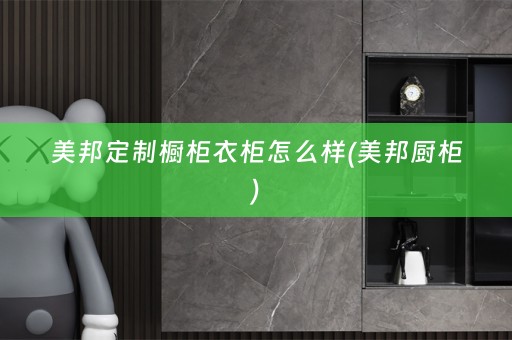 美邦定制橱柜衣柜怎么样(美邦厨柜)