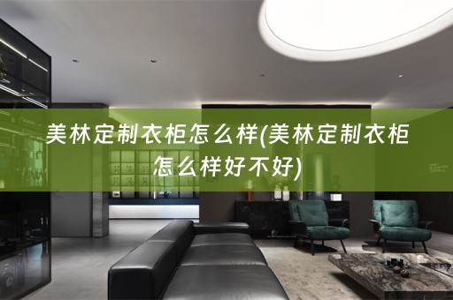 美林定制衣柜怎么样(美林定制衣柜怎么样好不好)