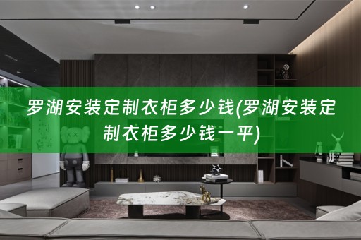 罗湖安装定制衣柜多少钱(罗湖安装定制衣柜多少钱一平)
