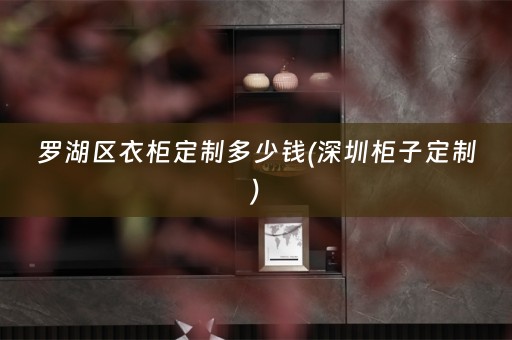 罗湖区衣柜定制多少钱(深圳柜子定制)