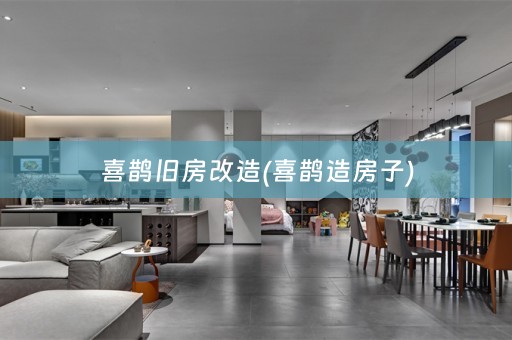 喜鹊旧房改造(喜鹊造房子)