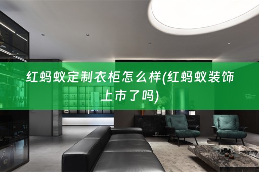 红蚂蚁定制衣柜怎么样(红蚂蚁装饰上市了吗)