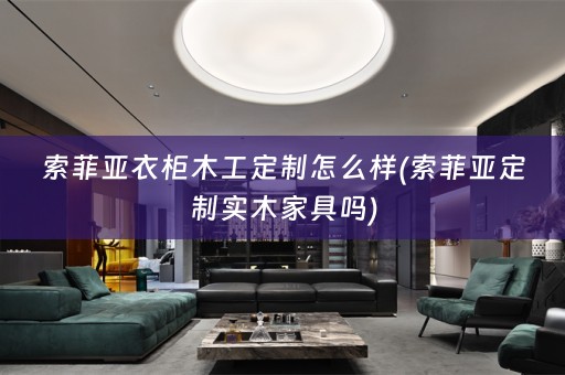 索菲亚衣柜木工定制怎么样(索菲亚定制实木家具吗)
